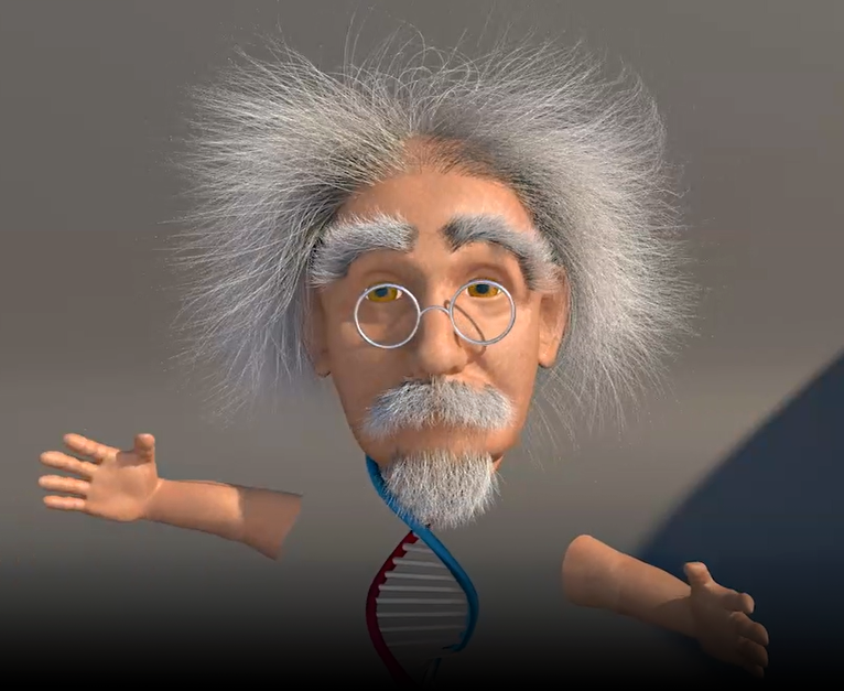 Einstein_Verlauf
